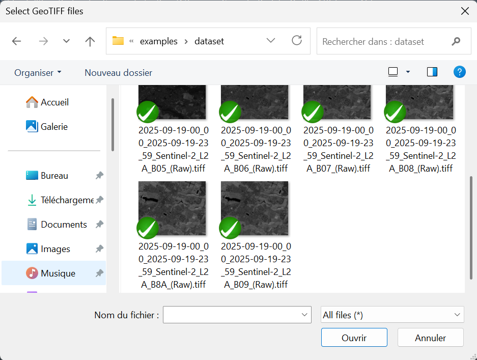 Importation des GeoTIFF