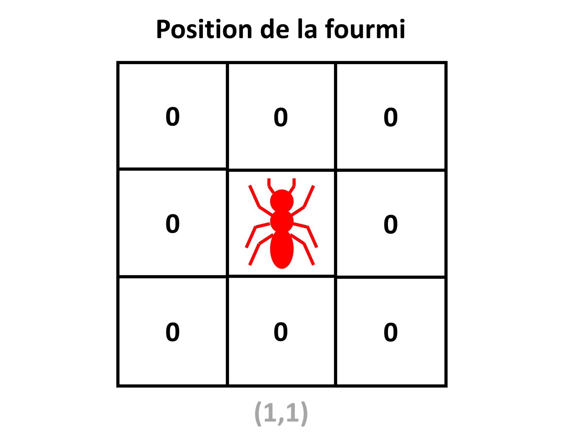 Propriétés des fourmis