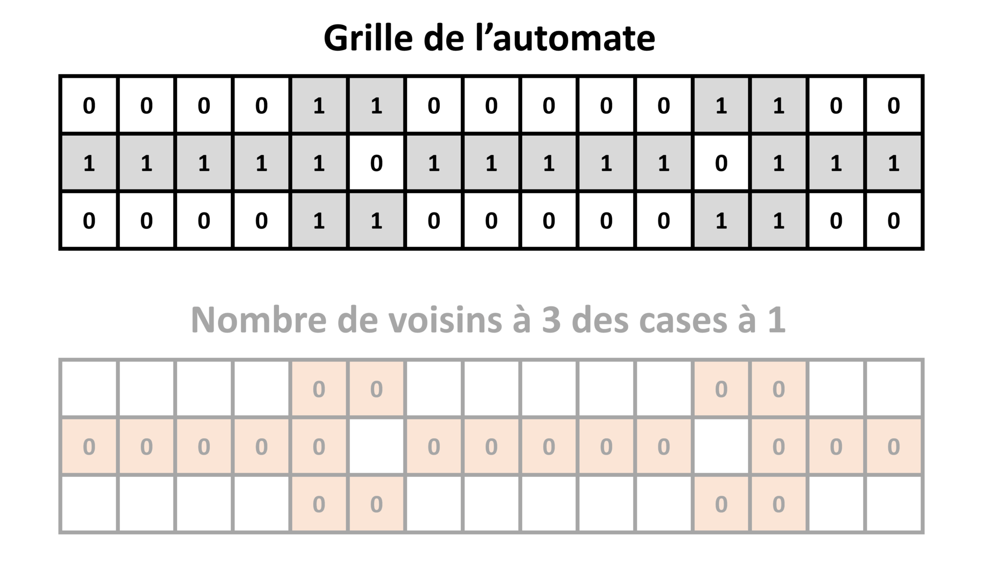 Règles de Wire-world