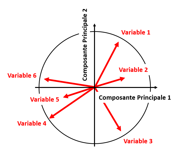 ACP cercle de corrélations