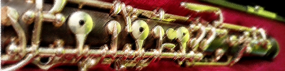 En-tête chapitre II