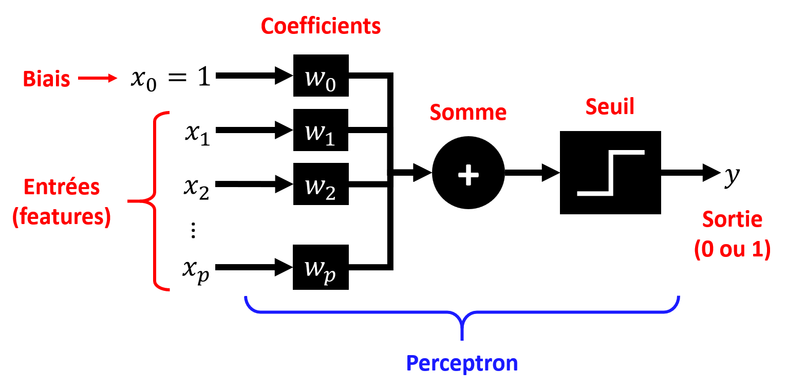 Perceptron
