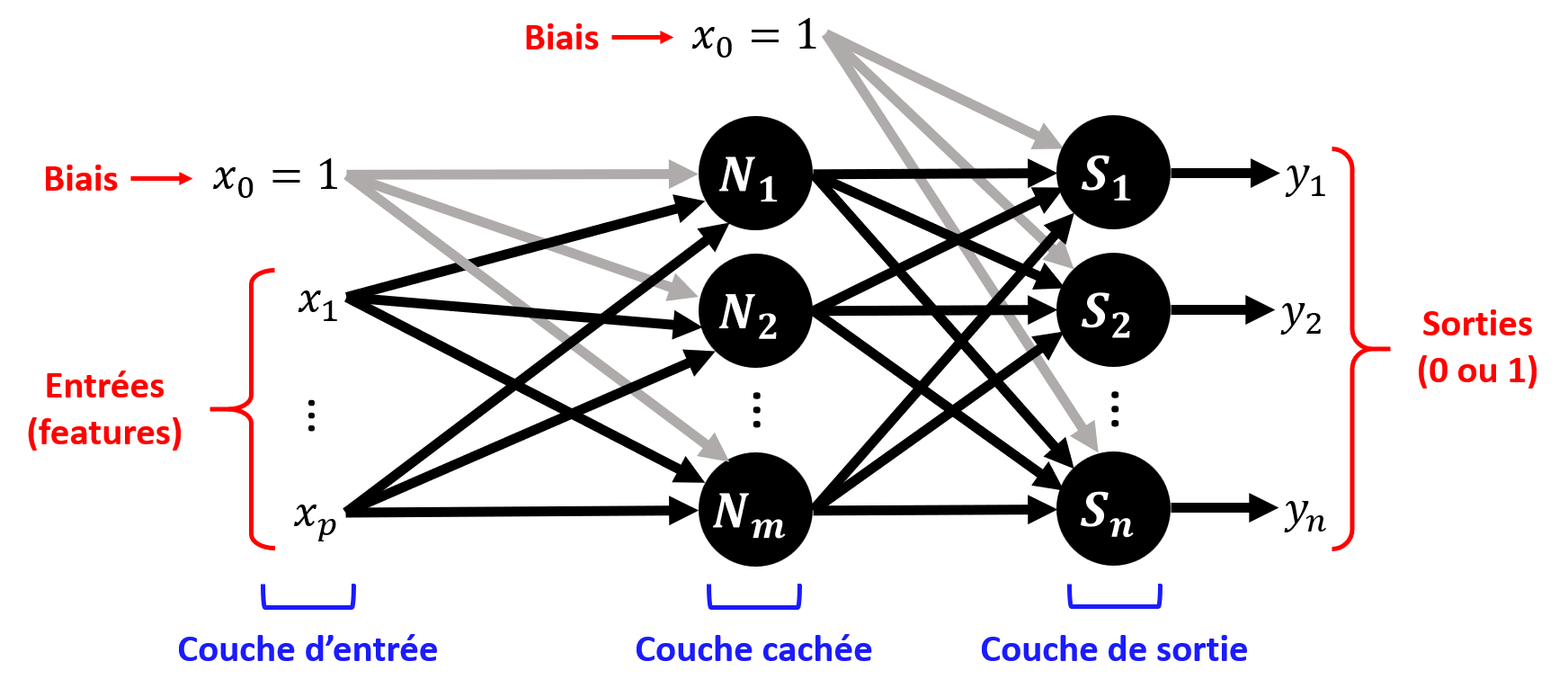 Perceptron multicouche