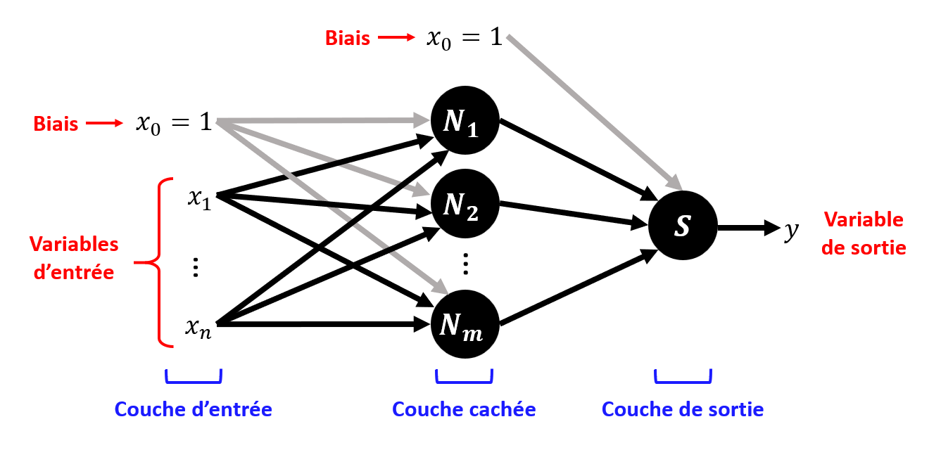 Perceptron Multicouche pour la régression