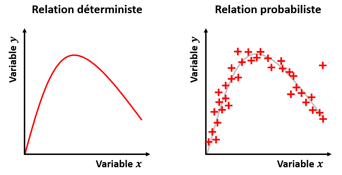 Relations déterministe et probabiliste