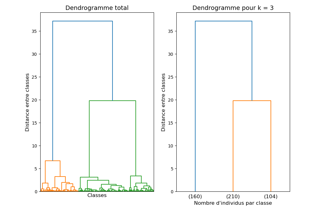 Exemple de dendrogramme obtenu après CAH